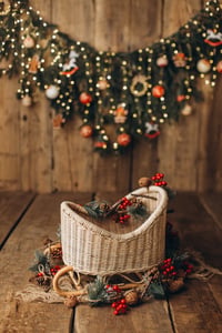 Image 4 of Winter sled rattan