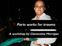 Image 1 of PARTS WORK FOR TRAUMA (Workshop Recording)