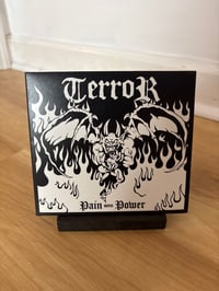 Terror - Pain Into Power CD