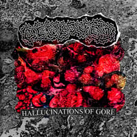 Degloved - Hallucinations of Gore CD