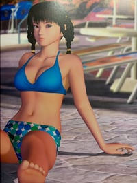Image 2 of Dead or Alive Xtreme Beach Volleyball Best Shot Art Book