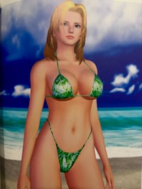 Image 4 of Dead or Alive Xtreme Beach Volleyball Best Shot Art Book