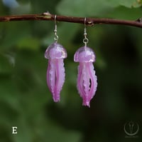 Image 11 of Jellyfish earrings (fixed)