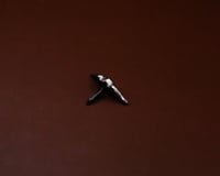 Image 2 of Winged Diamond Pin