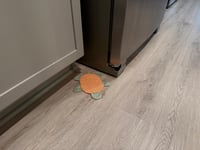 Image 2 of Floor Turtle - Fall Themed