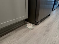 Image 2 of Floor Turtle - Floral Themed