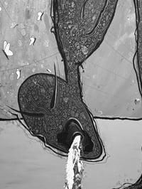 Image 1 of Keine Schmetterlinge im Bauch