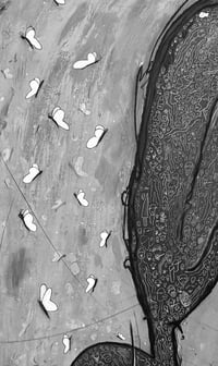Image 3 of Keine Schmetterlinge im Bauch