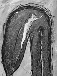 Image 4 of Keine Schmetterlinge im Bauch