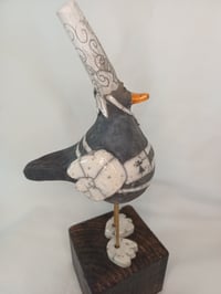 Image 4 of La Mouette bigoudène des embruns