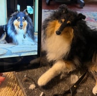 Image 2 of On Sale Custom 6” or 9”  dog laying down 
