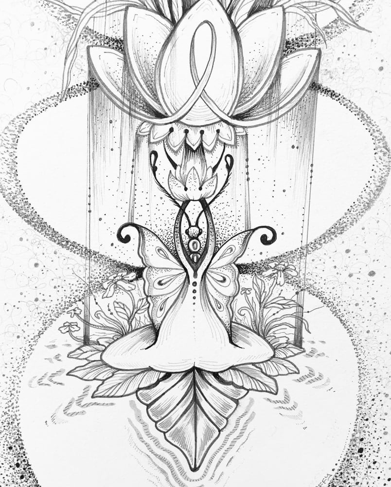 Image of Meditative Butterfly Lotus