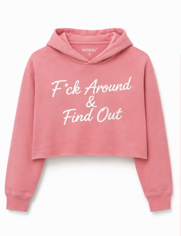 Image of F*ck Around & Find Out women’s crop top pink hoodie.