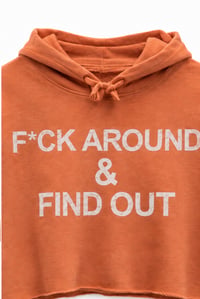 Image 2 of F*ck Around and Find Out Women’s pink crop top hoodie
