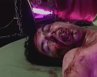 Image 4 of Videogore DVD ($25.00 USD)