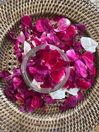 Image 4 of Nettle & Rose Face Serum