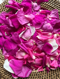 Image 3 of Nettle & Rose Face Serum