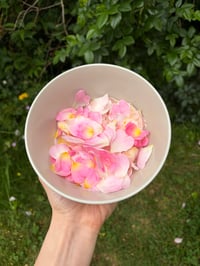 Image 2 of Rose & Honey Face Balm