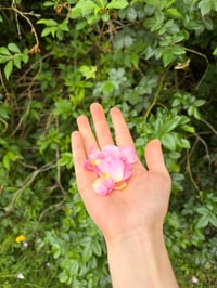 Image 5 of Rose & Honey Face Balm