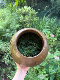Image 1 of Clearing Mist For Face & Space