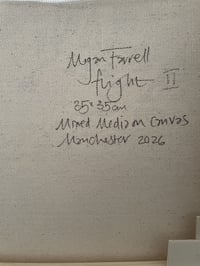Image 2 of Megan Farrell - Flight II