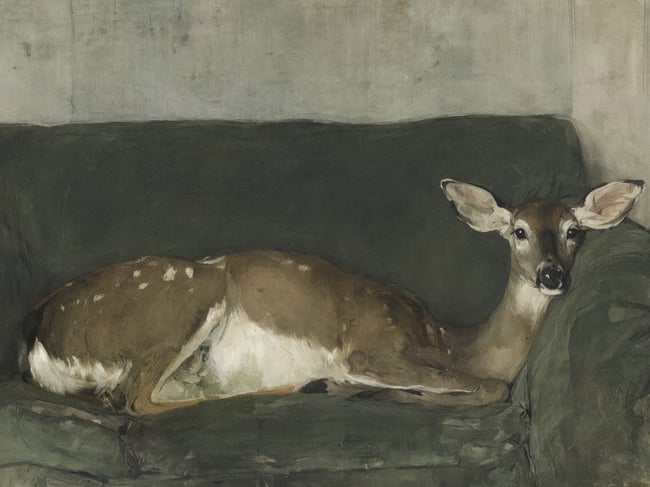 Olive- 24x18 Giclée Print