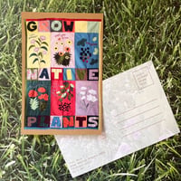 Grow Native Plants Postcard
