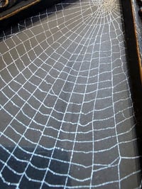 Image 3 of Unique Diamond shaped framed preserved web - D