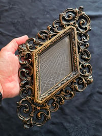 Image 1 of Unique Diamond shaped framed preserved web - D