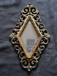 Image 2 of Unique Diamond shaped framed preserved web - D