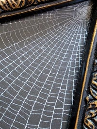 Image 3 of Unique Diamond shaped framed preserved web - C