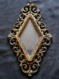 Image 2 of Unique Diamond shaped framed preserved web - C