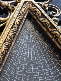 Image 3 of  Unique Diamond shaped framed preserved web - B