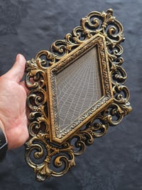 Image 2 of  Unique Diamond shaped framed preserved web - B
