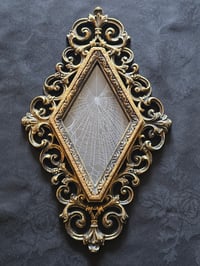 Image 2 of Unique Diamond shaped framed preserved web - A