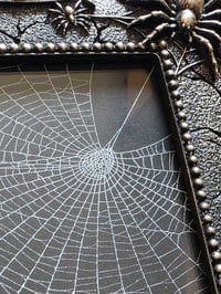 Image 3 of Gothic Spider corner framed preserved web
