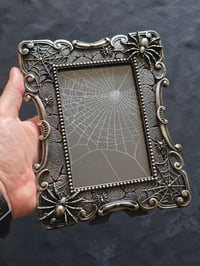 Image 1 of Gothic Spider corner framed preserved web