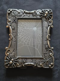 Image 2 of Gothic Spider corner framed preserved web