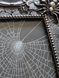 Image 3 of Gothic Spider corner framed preserved web - B