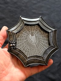 Image 1 of Beautiful Spider detail framed preserved web - A