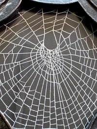 Image 3 of Beautiful Spider detail framed preserved web - A