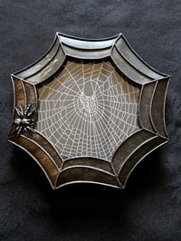 Image 2 of Beautiful Spider detail framed preserved web - A