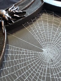 Image 3 of Beautiful Spider detail framed preserved web - B