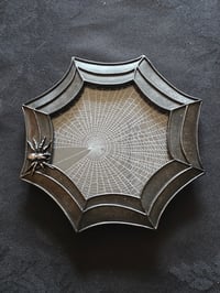 Image 2 of Beautiful Spider detail framed preserved web - B
