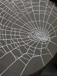 Image 3 of Skull detail framed preserved web 