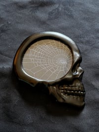 Image 2 of Skull detail framed preserved web 