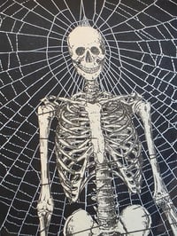 Image 3 of Coffin shaped - Vintage ANATOMICAL COLLECTION - Preserved web  - 1
