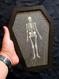 Image 1 of Coffin shaped - Vintage ANATOMICAL COLLECTION - Preserved web  - 1