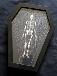 Image 2 of Coffin shaped - Vintage ANATOMICAL COLLECTION - Preserved web  - 1