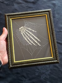 Image 2 of The Hand - Hangs 4 ways - Vintage ANATOMICAL COLLECTION - Preserved web  - 3